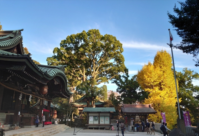 筑波山神社