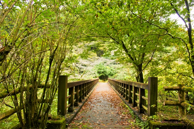 小平の滝水生植物園