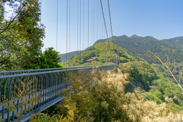 照葉大吊橋