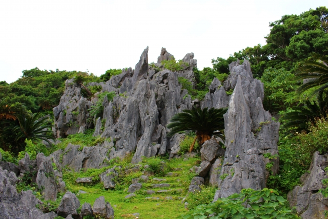 大石林山