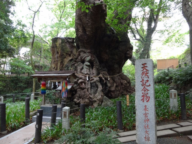 熱海来宮神社